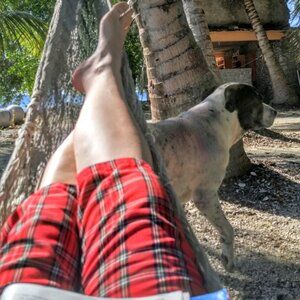 Meet your Posher, Intellife